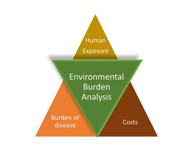 Environmental Burden of Disease Analysis